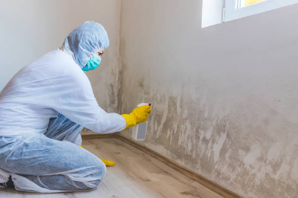 Mold inspector in Lothian performing thermal imaging