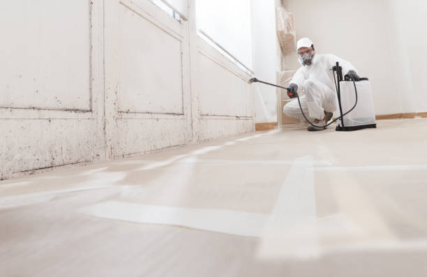 Post-remediation clearance in Lothian