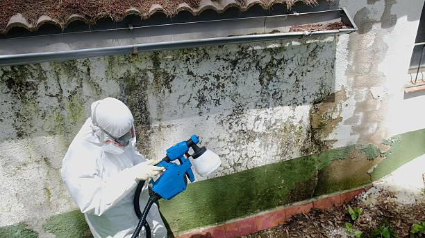 Clearance testing in Lothian